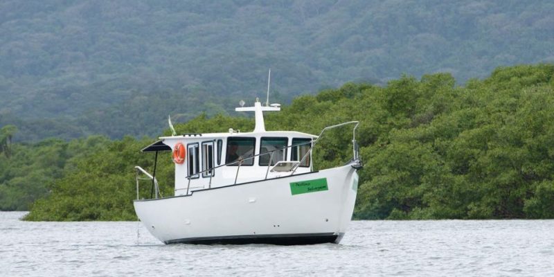 "建造一艘船" (Jiànzào yī sōu chuán)