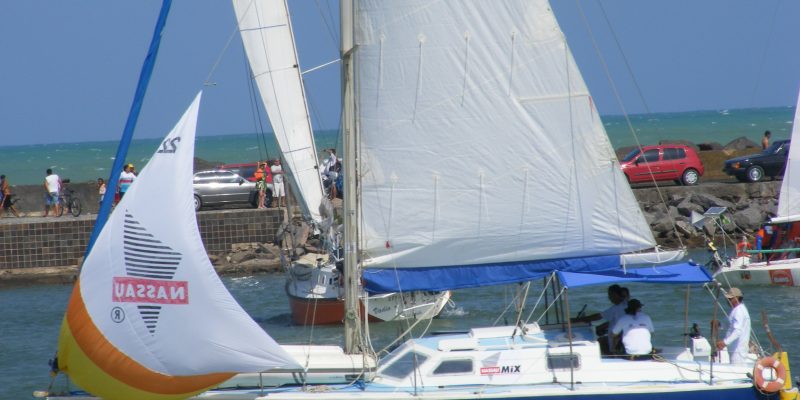 Multichine 36 - sailing