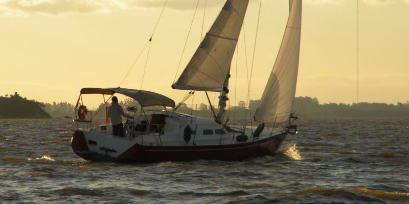 Multichine 36 - sailing